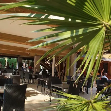 キャンプ場 La Barque
